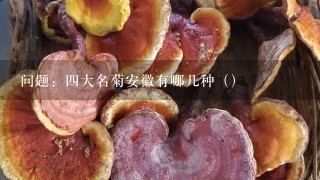 问题：4大名菊安徽有哪几种（）