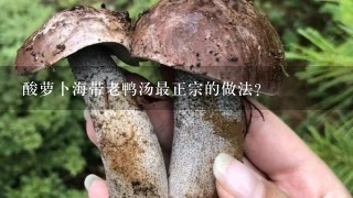 酸萝卜海带老鸭汤最正宗的做法？