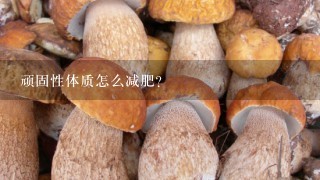 顽固性体质怎么减肥？