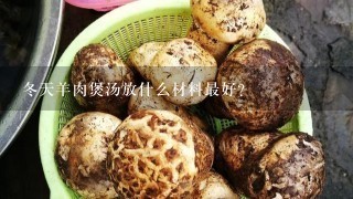 冬天羊肉煲汤放什么材料最好？