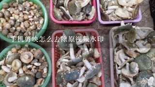 手机剪映怎么去除原视频水印