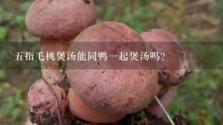 5指毛桃煲汤能同鸭1起煲汤吗？