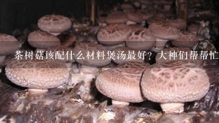 茶树菇该配什么材料煲汤最好？大神们帮帮忙