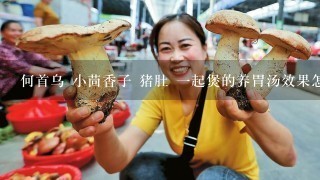 何首乌 小茴香子 猪肚 1起煲的养胃汤效果怎样？？