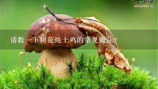 请教1下树花炖土鸡的常见做法？