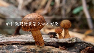 砂仁煲鸡汤要怎么做才好吃