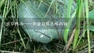 虫草鸭汤——补虚益精止咳润肺