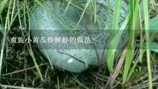 爽脆小黄瓜炒鲜虾的做法？