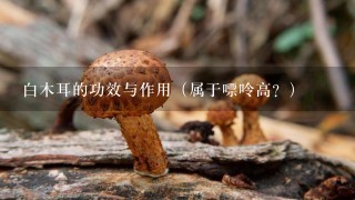 白木耳的功效与作用（属于嘌呤高？）