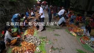 花椒跟意仁那个更能去湿气