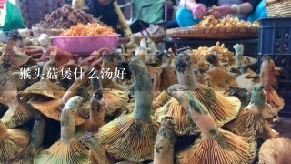 猴头菇煲什么汤好