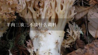 羊肉3放3不放什么调料