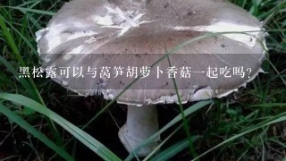 黑松露可以与莴笋胡萝卜香菇1起吃吗？