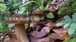 汉源花椒房山哪儿有卖的