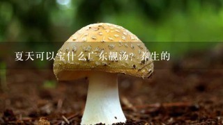 夏天可以宝什么广东靓汤？养生的