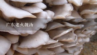 广东老火靓汤