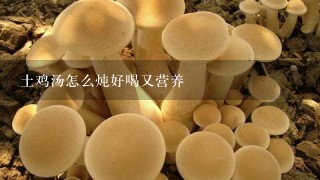 土鸡汤怎么炖好喝又营养