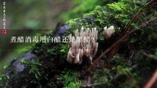 煮醋消毒用白醋还是黑醋？