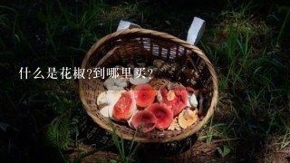 什么是花椒?到哪里买?