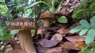 砂锅清炖排骨？