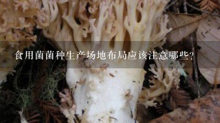 食用菌菌种生产场地布局应该注意哪些？