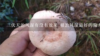 3伏天治风湿有没有效果 根治风湿最好的偏方和秘方