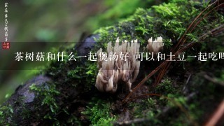 茶树菇和什么1起煲汤好 可以和土豆1起吃吗