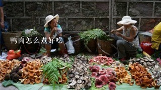 鸭肉怎么煮好吃