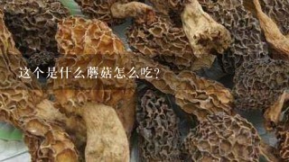 这个是什么蘑菇怎么吃？