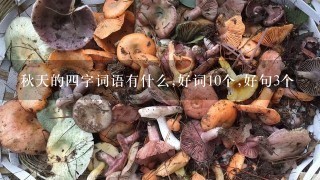 秋天的4字词语有什么,好词10个,好句3个