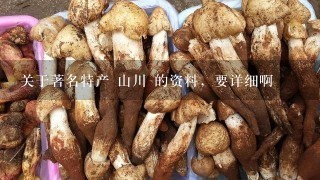 关于著名特产 山川 的资料，要详细啊