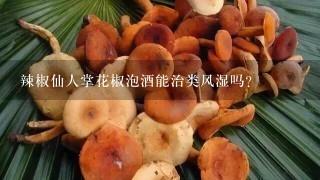 辣椒仙人掌花椒泡酒能治类风湿吗？