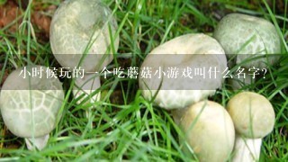 小时候玩的1个吃蘑菇小游戏叫什么名字？