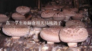 高3学生补脑食用天马炖鸽子