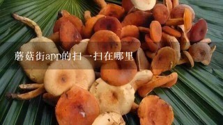 蘑菇街app的扫1扫在哪里