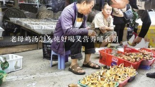 老母鸡汤怎么炖好喝又营养哺乳期