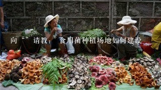 向“”请教： 食用菌种植场地如何建设