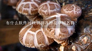 有什么软件可以识别各种花草树名称？