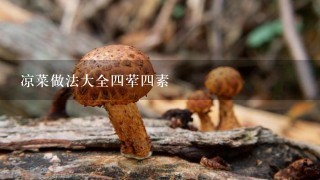 凉菜做法大全4荤4素