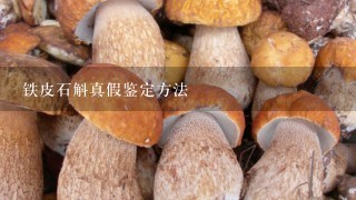 铁皮石斛真假鉴定方法