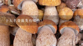 十大名贵菌类有哪些？