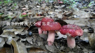 藕条的做法大全家常菜