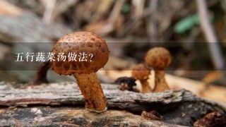 5行蔬菜汤做法？