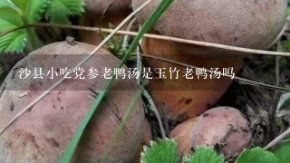 沙县小吃党参老鸭汤是玉竹老鸭汤吗