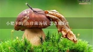 小肥羊的 山珍菌汤锅 怎么做的？