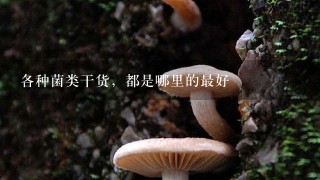 各种菌类干货，都是哪里的最好