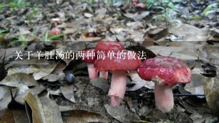 关于羊肚汤的两种简单的做法