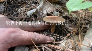 酸萝卜海带老鸭汤最正宗的做法？