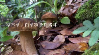 家常菜：白菜粉条拌猪耳