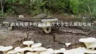 牛肉丸炖萝卜的家常做法大全怎么做好吃视？